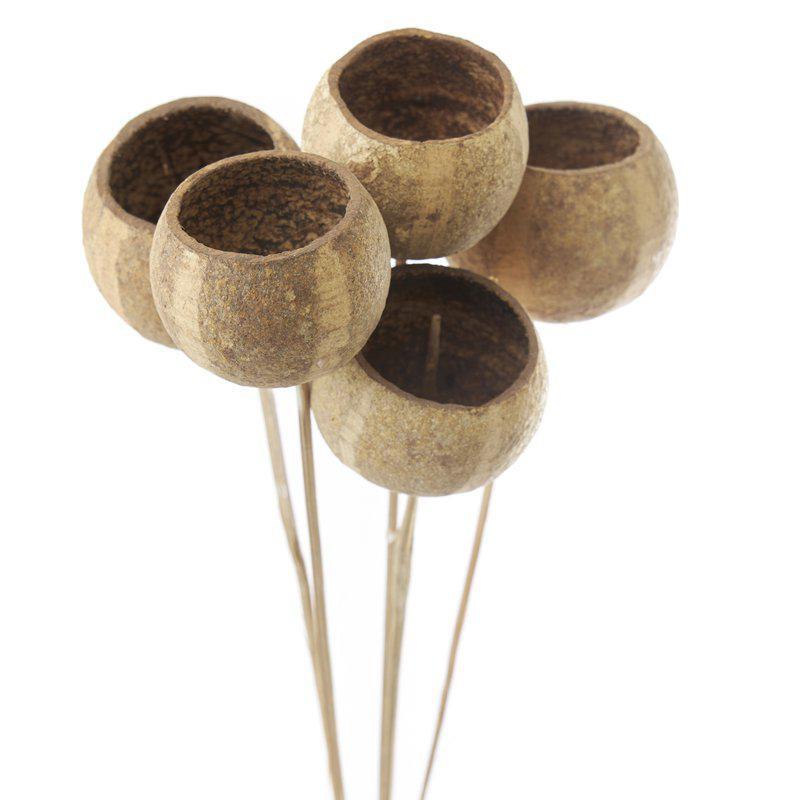 Flore Bell, Torkad växt 5-pack, se vårt sortiment av heminredning, garn & tyger. Alltid till bra priser.