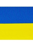 Sverigeband, sidenband i blått och gult 40 mm, se vårt sortiment av heminredning, garn & tyger. Alltid till bra priser.
