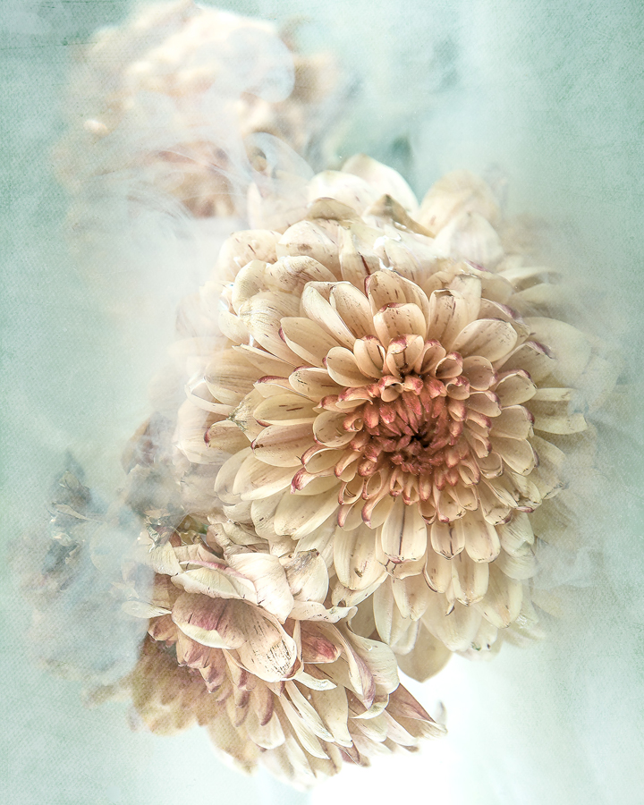 Konstaffisch / wallart  40*50 Dahlia i vatten, se vårt sortiment av heminredning, garn & tyger. Alltid till bra priser.