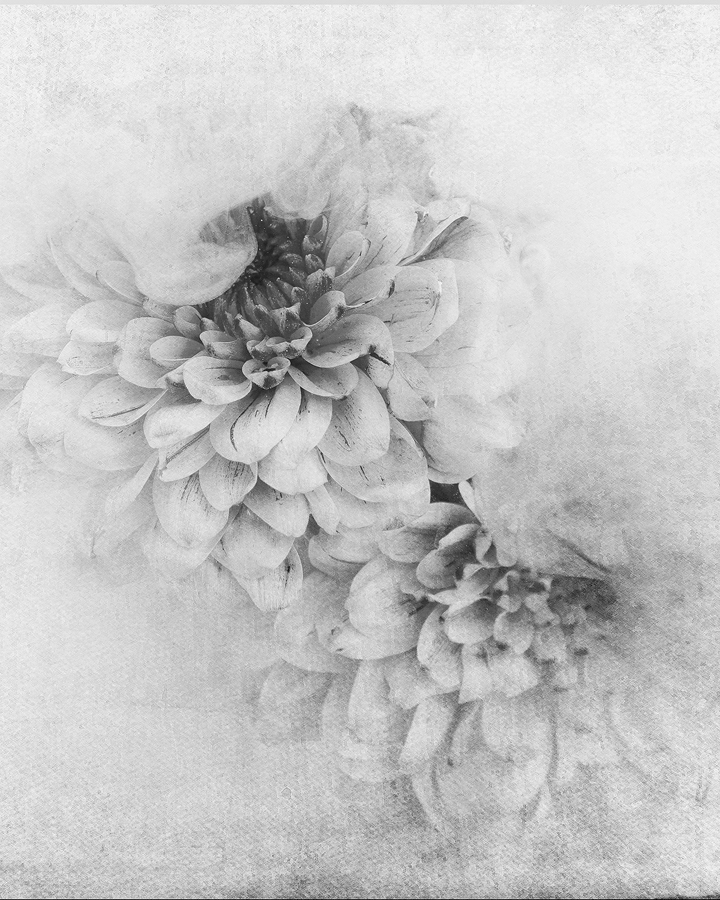 Konstaffisch / wallart  40*50 Dahlia svartvit, se vårt sortiment av heminredning, garn & tyger. Alltid till bra priser.