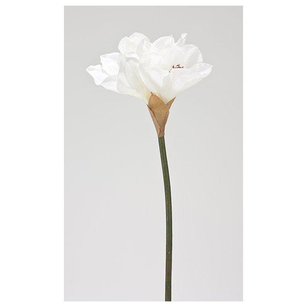 Amaryllis vit, se vårt sortiment av heminredning, garn & tyger. Alltid till bra priser.