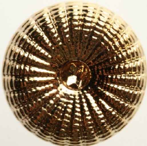 Guldknapp 18 mm 6st, Knappask I,, se vårt sortiment av heminredning, garn & tyger. Alltid till bra priser.